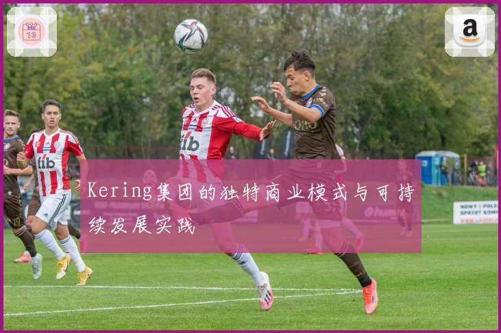 Kering集团的独特商业模式与可持续发展实践