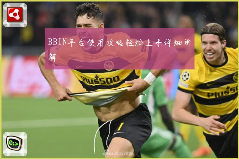 BBIN平台使用攻略轻松上手详细讲解