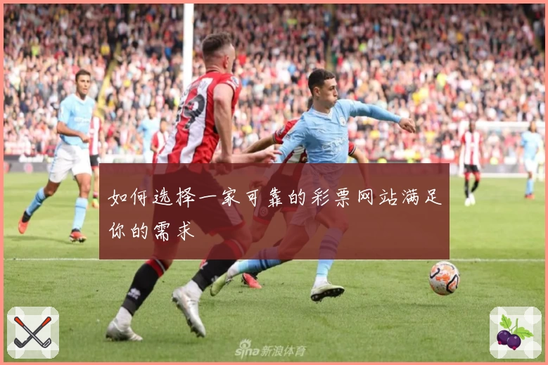 如何选择一家可靠的彩票网站满足你的需求