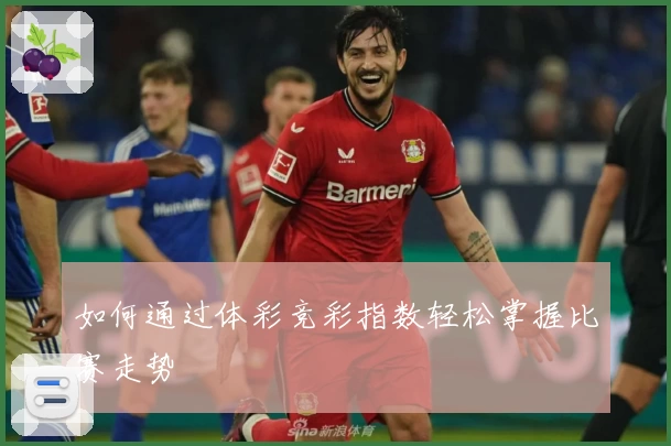 如何通过体彩竞彩指数轻松掌握比赛走势
