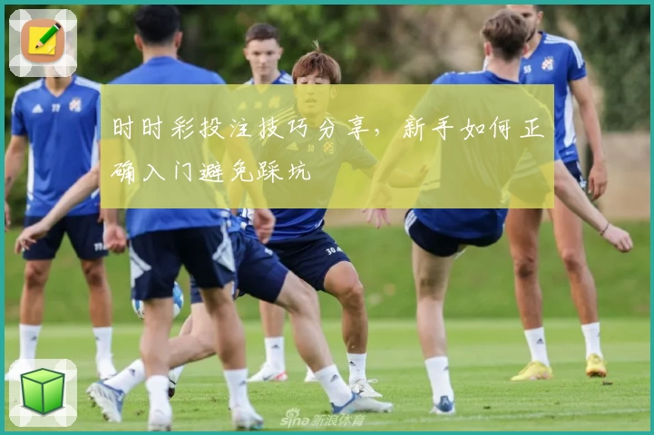 时时彩投注技巧分享,新手如何正确入门避免踩坑